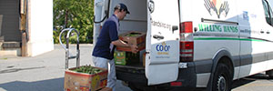 Loading vegetables into truck Loading vegetables into truck